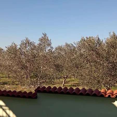 Apolo Appartement Pula